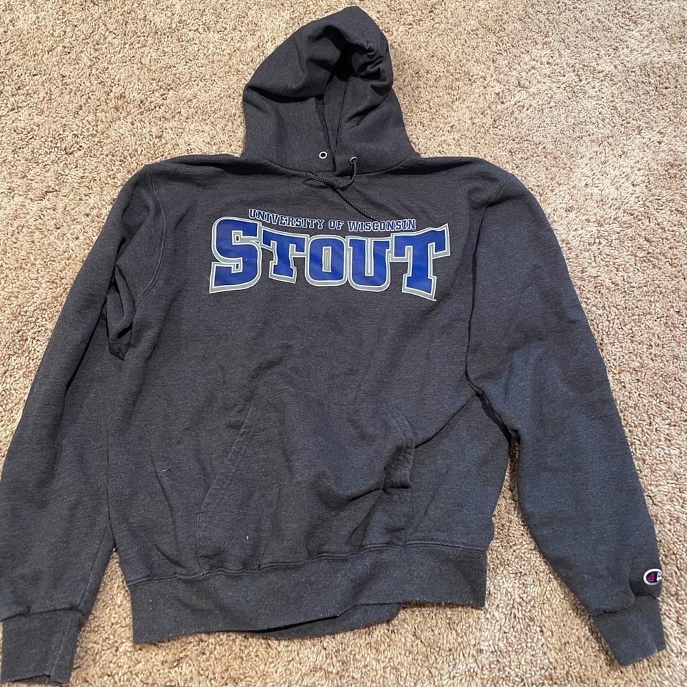 UW STOUT hoodie